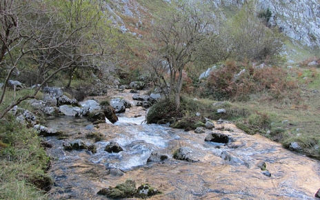 Rivers in Picos mountains