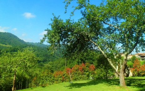 Verano en esta bonita propiedad