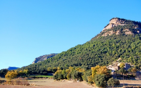 La casa se refugia bajo su propio pico 