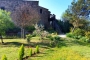 El jardín a principios de primavera 