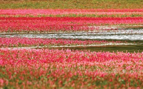 Ebro lake near Reinosa