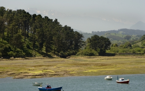 Estuary in San Vicente