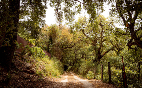 Rural track from Gaucin village to your villa