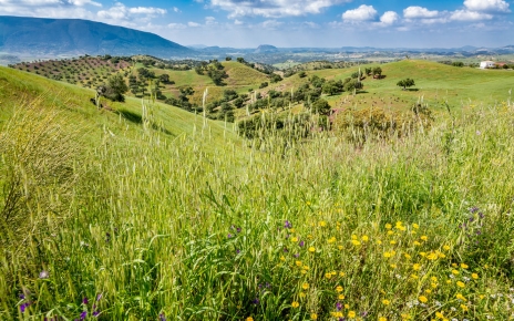 Your location in May after a wet winter