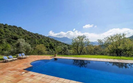 Ample lawn and terraces around pool