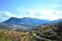 Enjoy this view a few steps up from the villa
