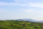 Views of the surroundings in Spring