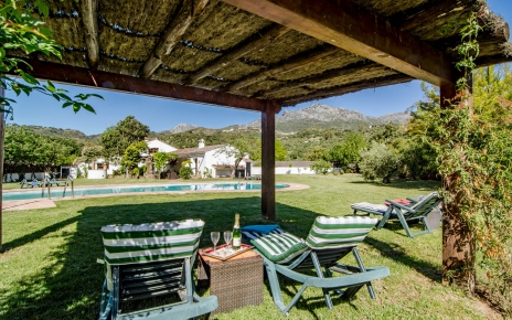 Relax by the pergola
