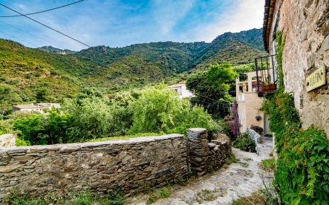 Your private walled gardens are just opposite