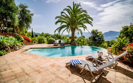 The palm tree is no longer there due to a disease