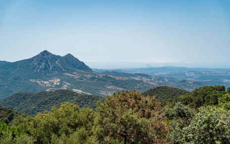 Vistas desde el fregadero!