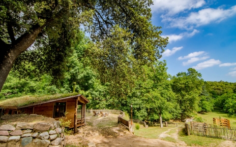 Your cottage has a private location in large estate