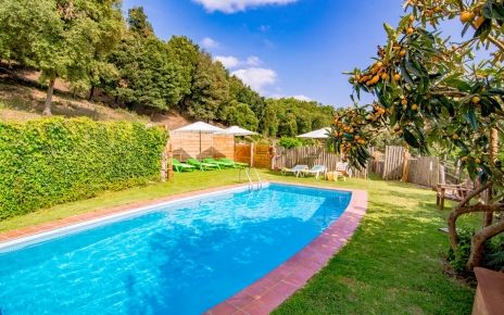 Pool and lawned gardens with loquat fruit tree