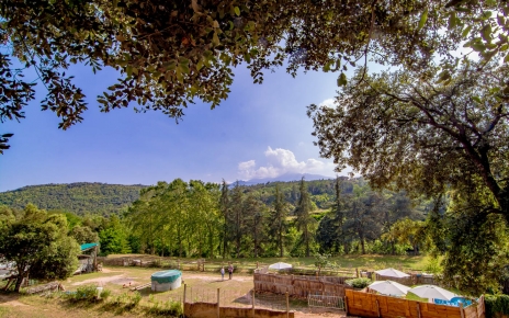 Fenced pool area seen from above (private forests)