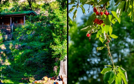 Perfect place for healthy holidays