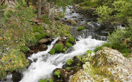 Lozoya river in the Guadarrama mountains