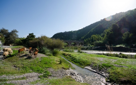 The Guadalfeo river passes by Orgiva