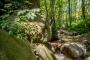 The area is excellent for hiking