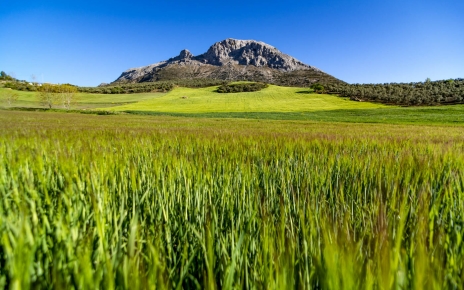 Your setting in rural Andalucia