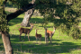 Local woods are rich in wild life