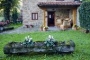 Cottage garden