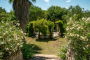 Stunning gardens