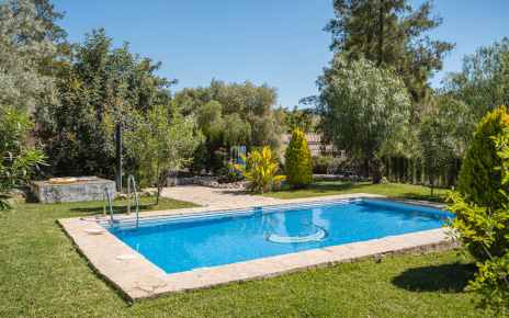 Piscina con zonas ajardinadas