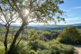 Lovely walks near your holiday home