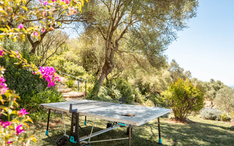 Ping Pong