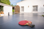 Ping pong