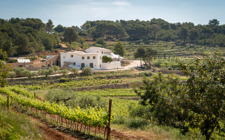 Fabuloso enclave rodeado de viñedos