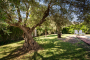 Ample gardens