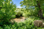 Guadiaro river is a stroll away