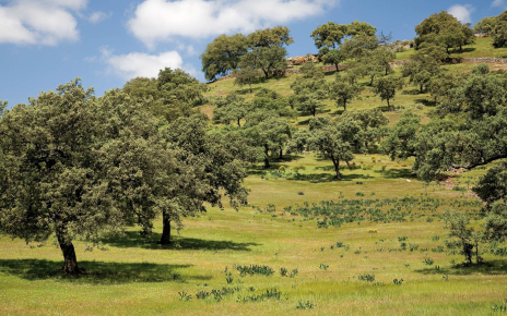 The surrounding countryside is glorious (photo in June)
