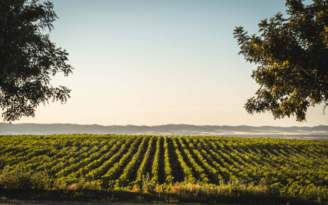 This is Sherry wine land!