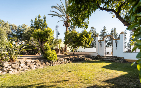 Private back gardens with pool area and paddle tennis