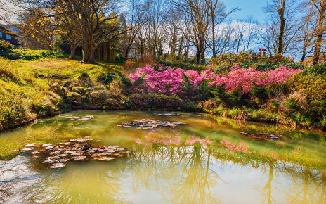 Uno de los cuatro estanques