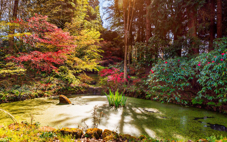 Fascinantes espacios para amantes de la naturaleza