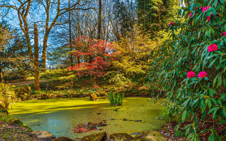 Asegúrate una buena cámara de fotos para tus vacaciones!