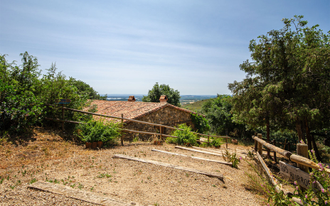 Steps down to the annexe