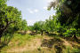 Más allá de los jardines hay más finca