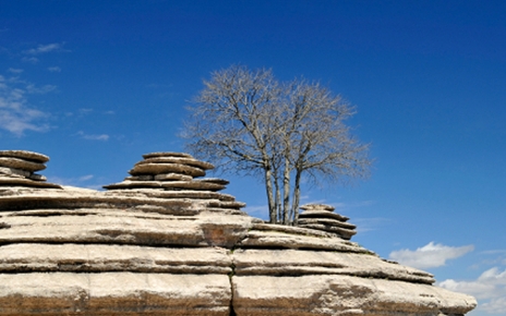 El Torcal Nature Reserve
