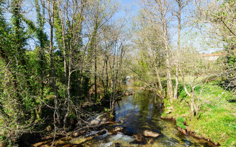 Local riverside walks