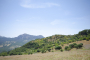 Your location in the distance with Sierra Crestellina as backdrop