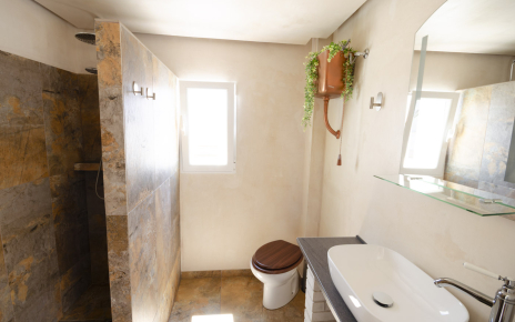 Bathroom (walk-in shower)