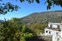 On the edge of a pretty village