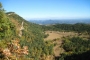 Nearby view