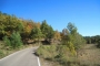 The road to the villa