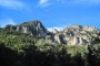 Local scenery