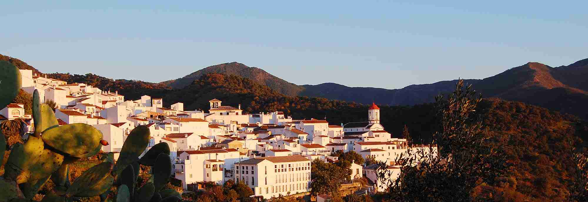 Holidays in Malaga